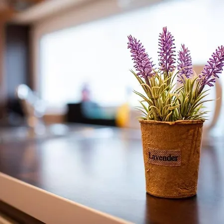 Daire Ohrid 2bdr Varna