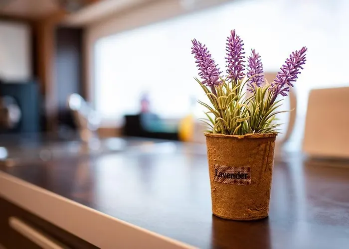 Διαμέρισμα Ohrid 2bdr Βάρνα